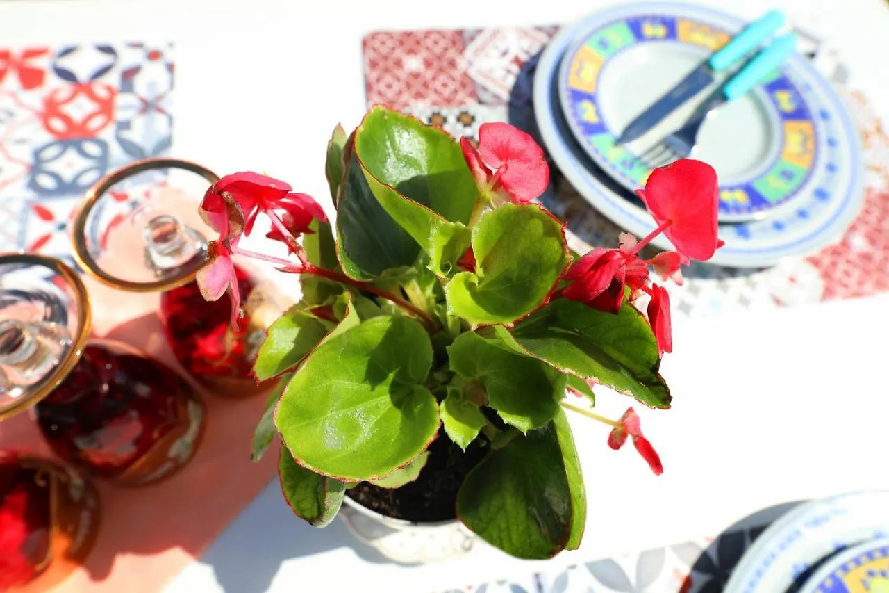 Ulcas Guest Huse Bed & Breakfast Vlore